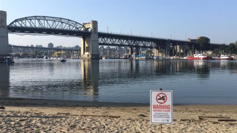 Vancouver beach closed to swimming due to E. coli