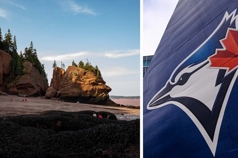 Blue Jays partnership could be homerun for New Brunswick: marketing professor