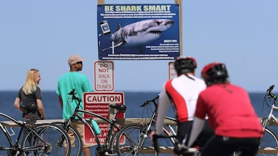 U.S. launches national shark alert system after Alabama teen survives attack