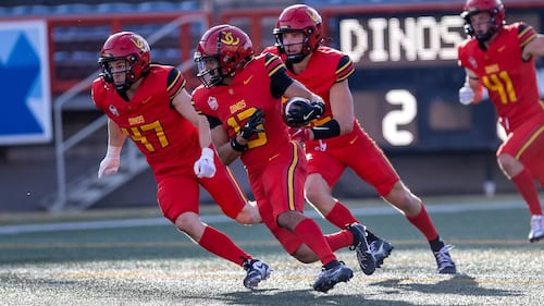Out of McMahon, back on Campus: Dinos propose new multi-sport stadium