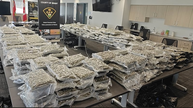 More than 400 lbs. of illicit cannabis seized during R.I.D.E. stop