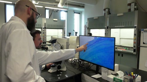 Lethbridge Polytechnic receives funding for AI wildlife aging project