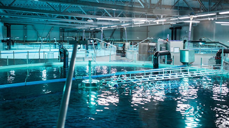Proposed salmon farm in the Outaouais set for public consultations