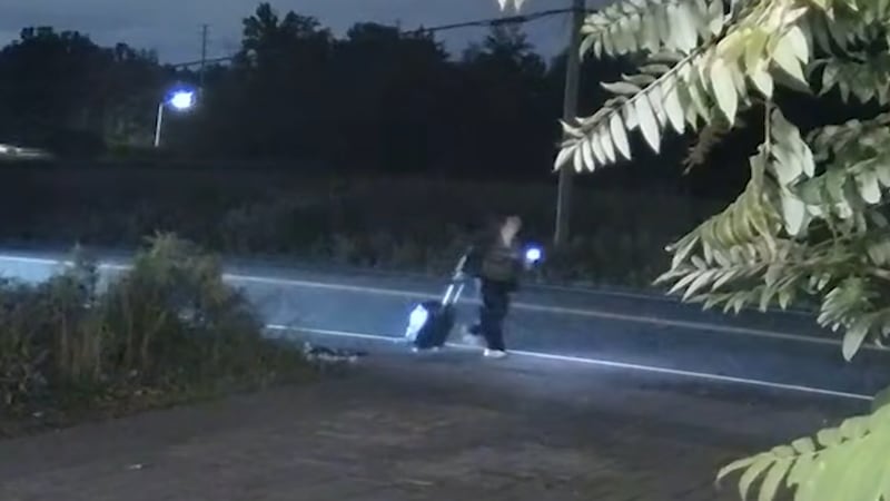 New video shows moments before woman fatally struck in Vaughan hit-and-run