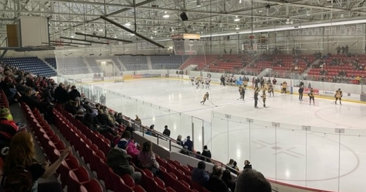 Brant County Rink Brantford to explore building new OHL-sized arena for Bulldogs