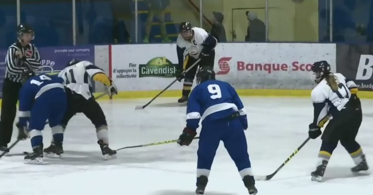 Hockey New Brunswick set to vote on motion that could end co-ed minor ...