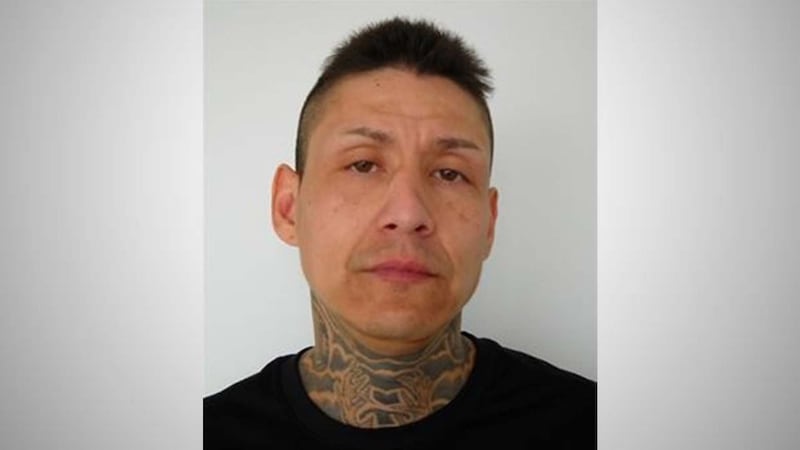High-risk sex offender now living in Saskatoon, police warn