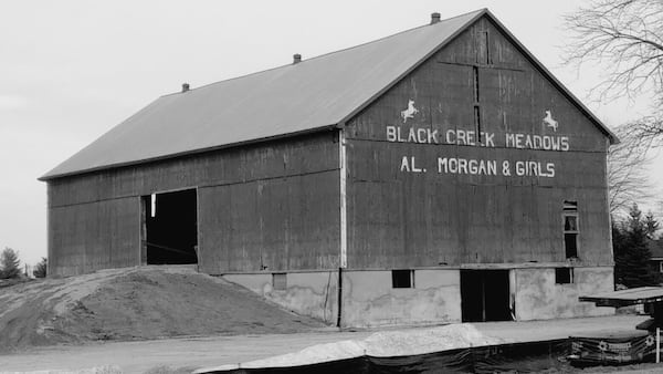 Women in Agriculture