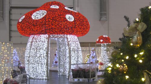 Winter and animal scenes are portrayed by the 2025 Glow indoor light show at Edmonton's Expo Centre in 2025. (Evan Klippenstein / CTV News Edmonton)