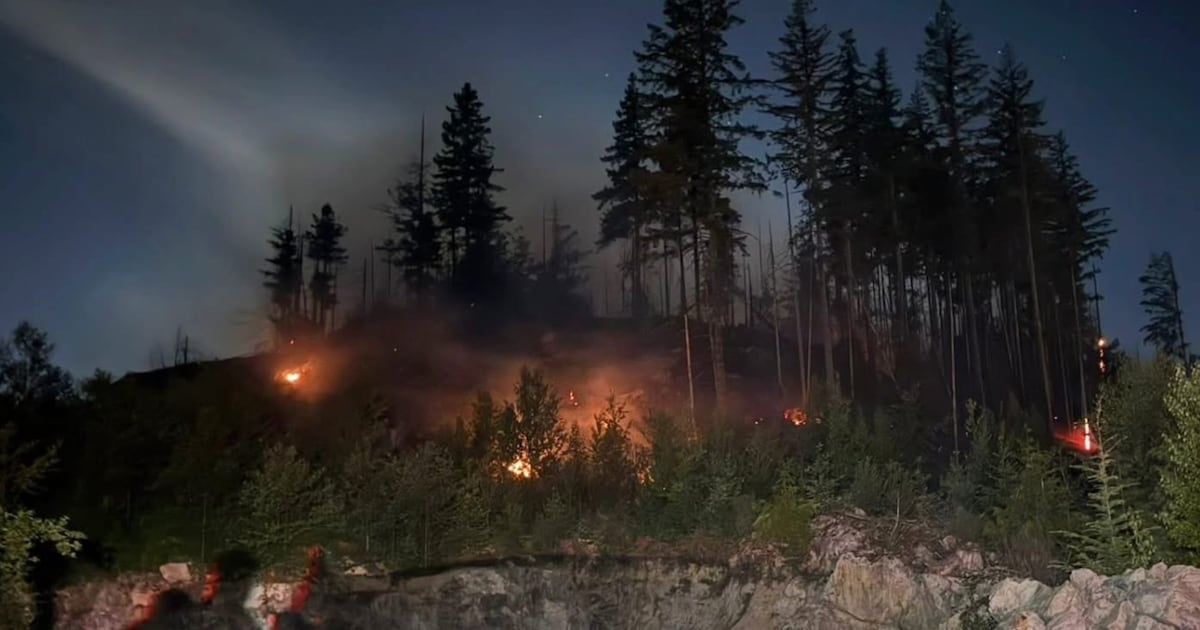 Maple Ridge Fire Type 5 Maple Ridge fire: No threat to properties, city says