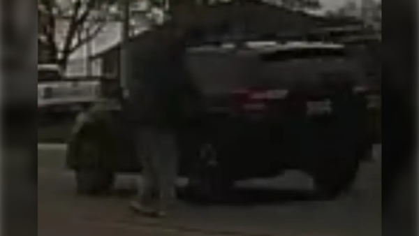 Kingston police looking to identify driver following alleged assault