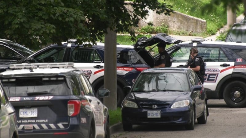 Theft investigation on Shanley Street in Kitchener