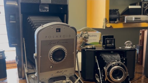 Sydney man showcases incredible collection of over 175 vintage cameras