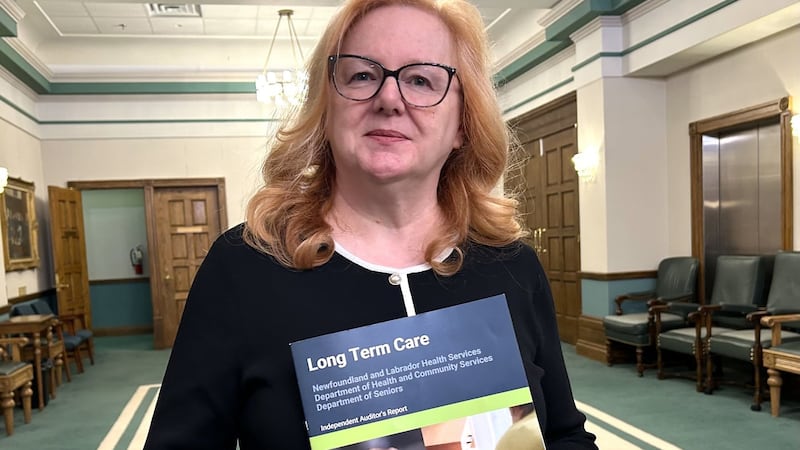 Audit flags reports of abuse, missing patients in N.L. long-term care