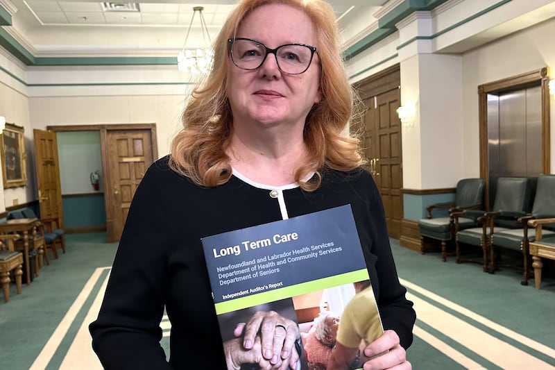 Audit flags reports of abuse, missing patients in N.L. long-term care