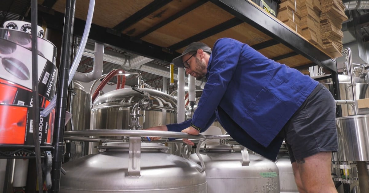 ‘It's exceptional': Winnipeg company turns unused fruit into cider