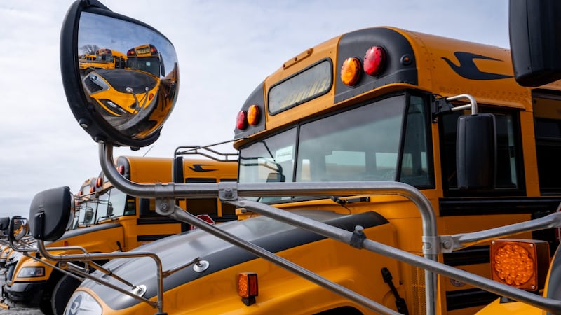 School bus driver fired after letting student rescue a kitten