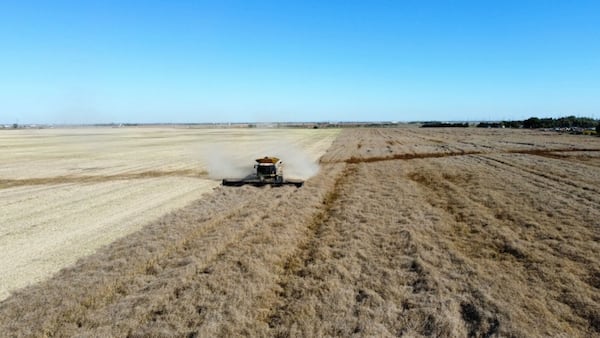 Why the value of Manitoba farmland is increasing