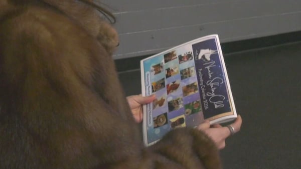 Nanton fundraising calendar features comical photos of dedicated community volunteers