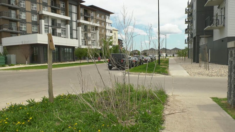 ‘It will get stuck’: Winnipegger protesting mowing nearby boulevard