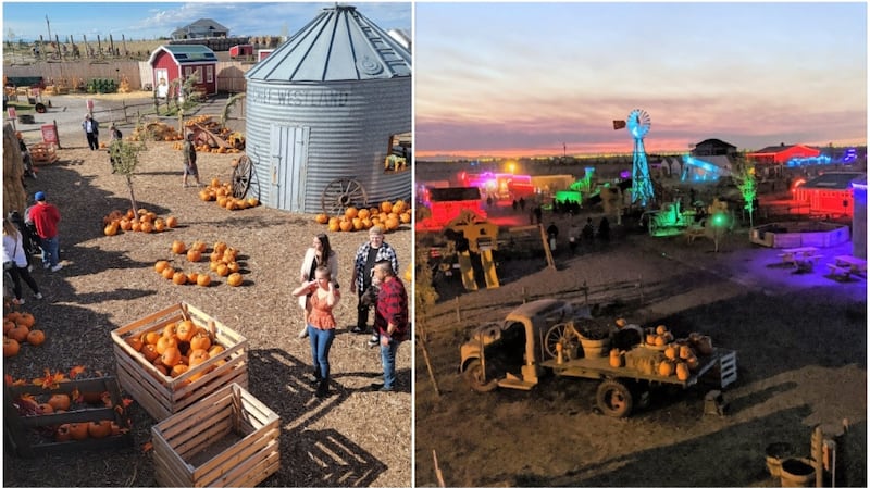 Calgary Events. October Calgary fall festivals and spooky events for 2025