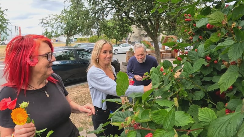 ‘Be cheerful and happy!’: Octogenarians’ quest for blackberries inspires reflection on living life
