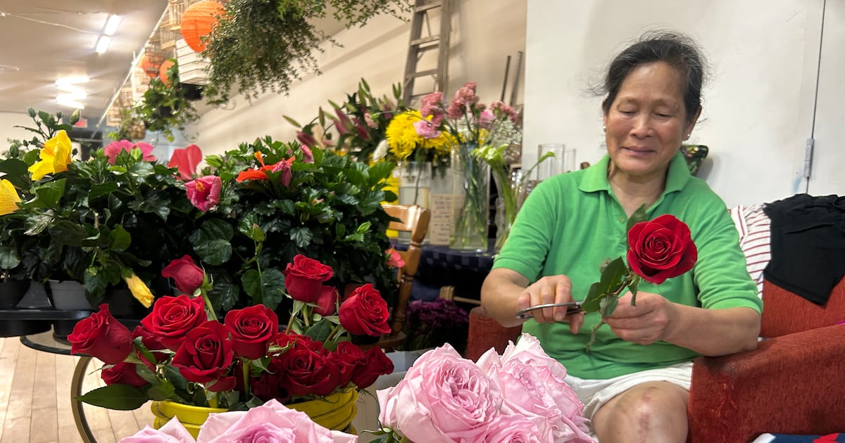 Montreal Dragon Flowers florist’s tricycle stolen