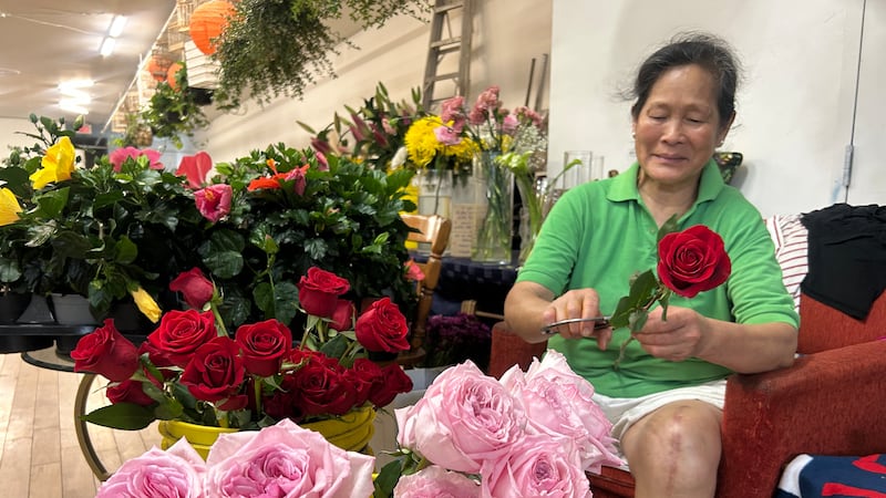 Montreal Dragon Flowers florist’s tricycle stolen