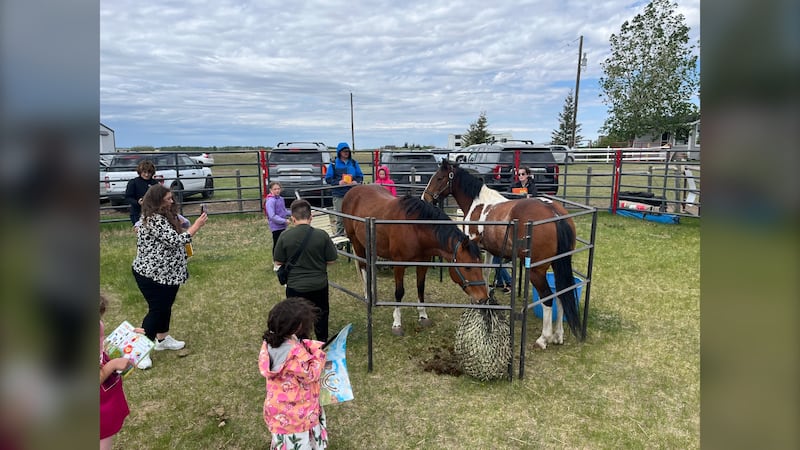 Unique Calgary fundraiser teaches the joy of reading by having children read to horses