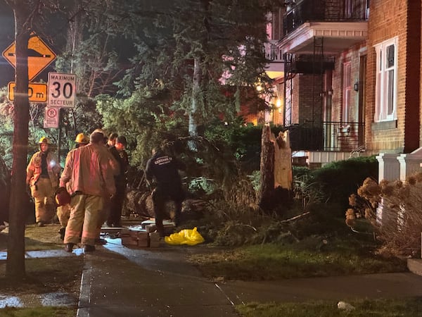 15-year-old in coma after tree falls on him during Montreal storm