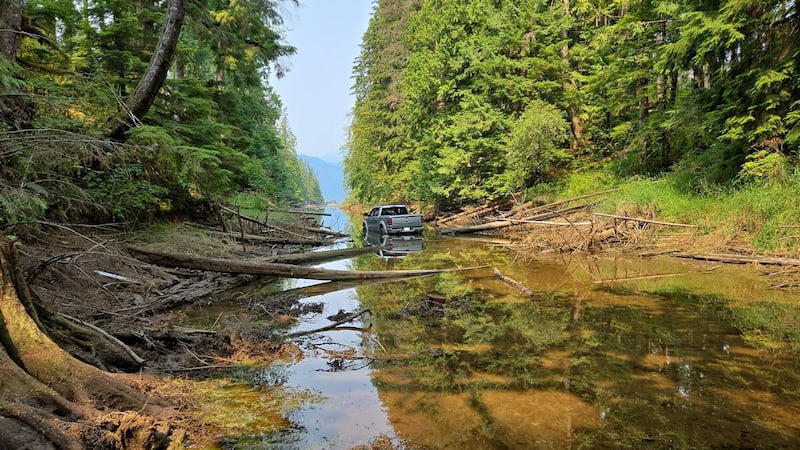Stolen truck abandoned in remote Fraser Valley creek: RCMP
