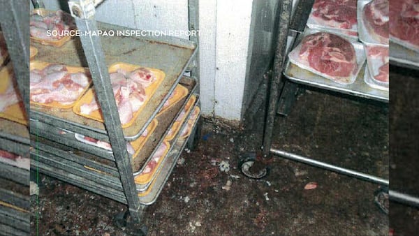 Quebec grocery stores repeatedly fined for rodent infestations, food safety violations