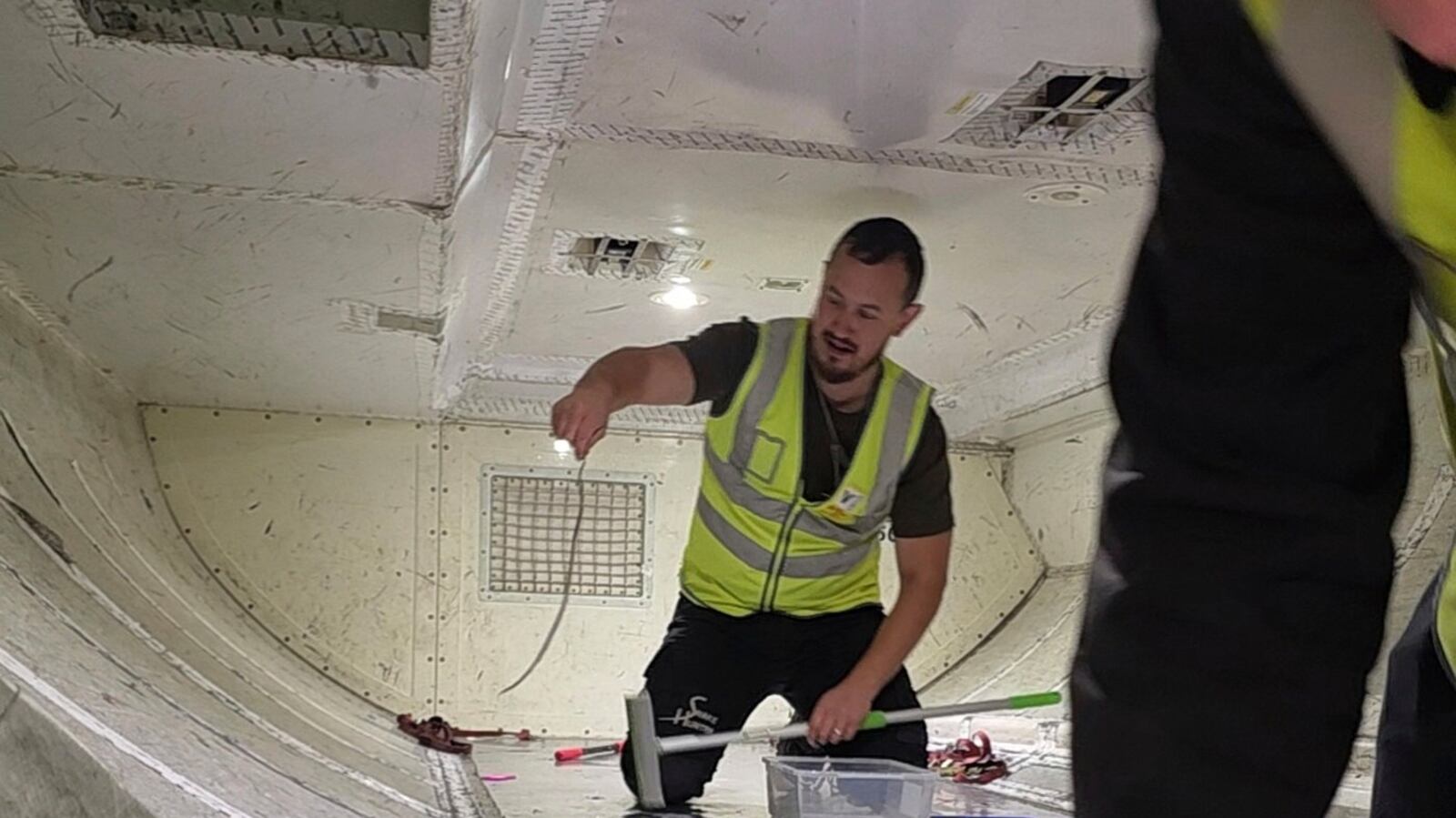 Austrainlian Python Australia: Snake on a plane delays flight