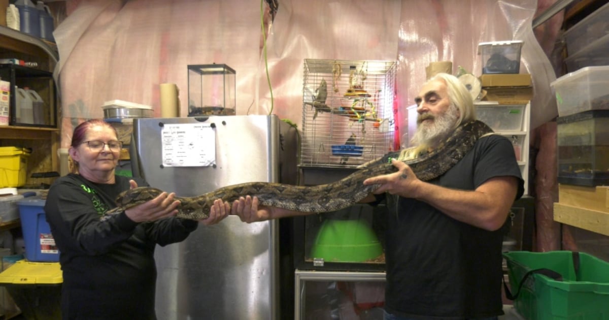 Sault reptile rescue facing closure