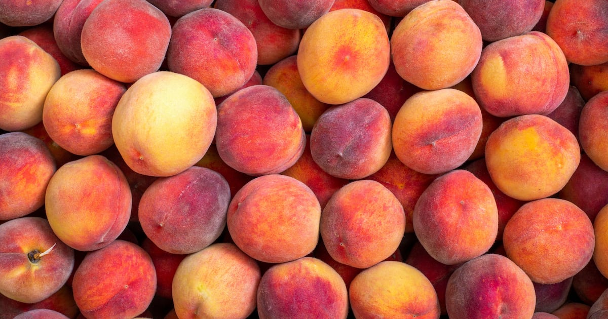 Flooding in Niagara Region Could Impact Peach and Plum Prices Next Year