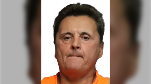 ‘Serial break-in suspect’ from Kitchener facing a dozen charges: Halton police