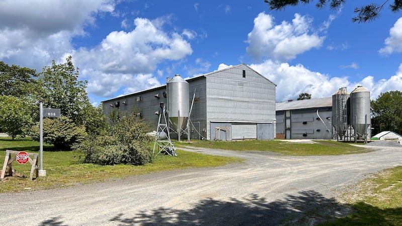 Act that led to the deaths of 10,000 chickens at N.S. farm was deliberate: RCMP