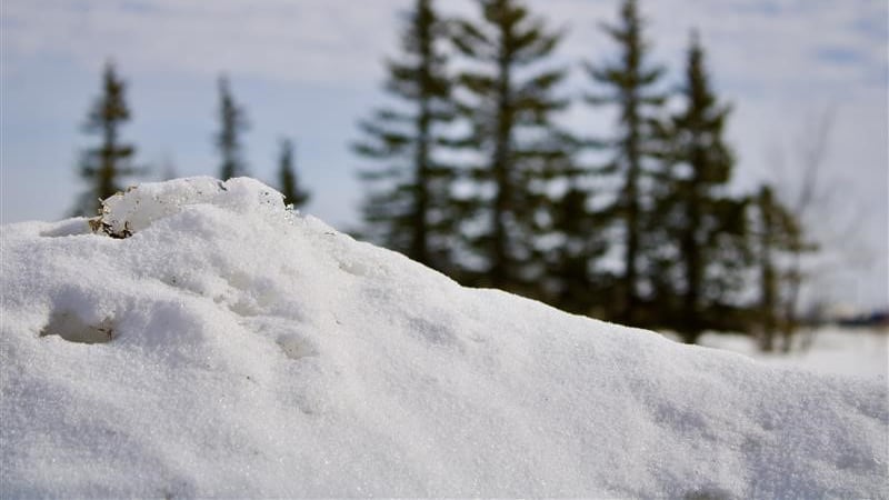 These Sask. communities saw the most amount of snow after spring storm