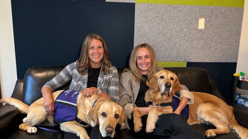 Waterloo Region Courthouse service dog Monet retires after nearly 7 years