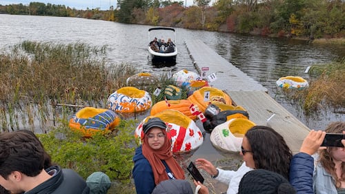 Families went to the Windsor Pumpkin Regatta and Build Your Own Boat Race in Windsor, N.S., on Sunday, Oct. 11, 2026. (Valentine Nkengbeza/CTV Atlantic)