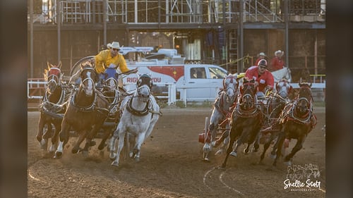 Laboucane leads the way, setting up championship final rematch with Vigen, Glass at Rangeland Derby