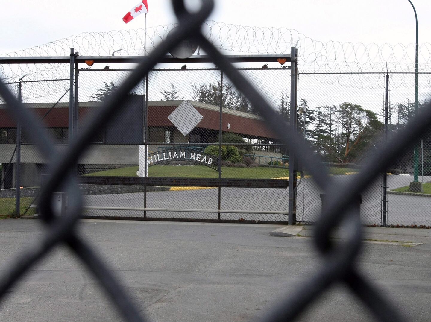 https://www.ctvnews.ca/resizer/v2/K6GBJRUFBVB2XDLJPAYSYHKN44.JPG?auth=6455ce187359f98b5753ece19111c6061b2ee95ab5762590716666aca6e943aa&width=1440&height=1076