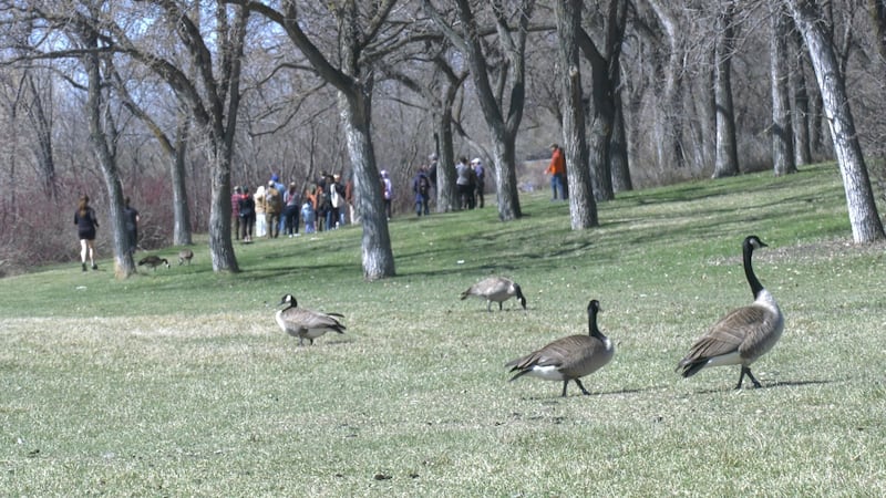 Bird enthusiasts take to Saskatchewan Science Centre to celebrate World Migratory Bird Day