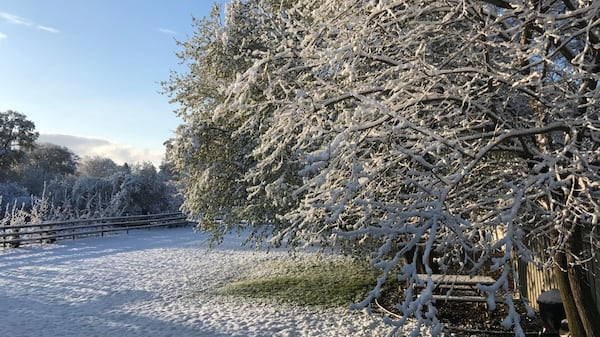 It’s time! Freezing temperatures and flurries expected over the weekend