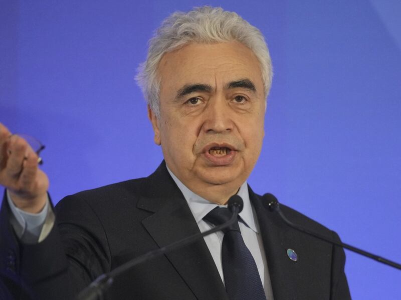 World doesn’t grasp implications of ‘largest energy crisis in history’: IEA executive director