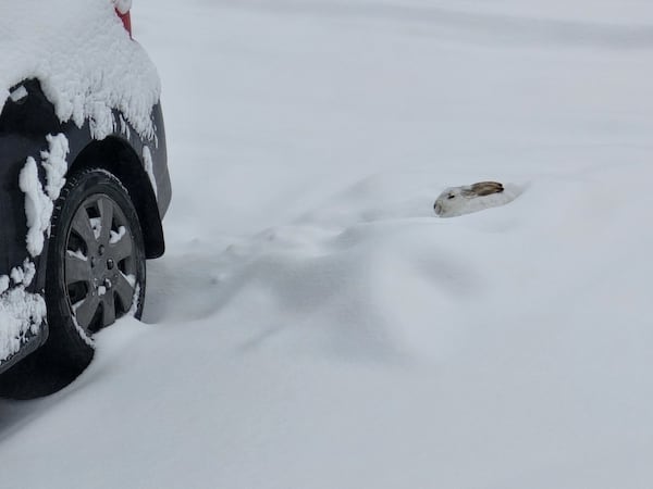 Final flurries ahead as winter blast eases