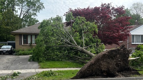 High-speed storm sweeps through southern Ontario