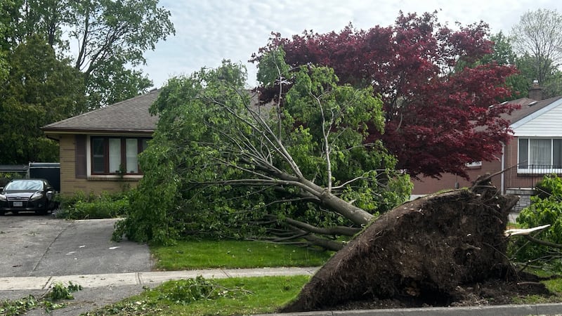 High-speed storm sweeps through southern Ontario