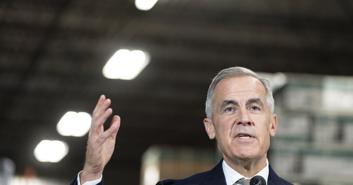 PM Carney points to federal review when asked about restricting access to ...