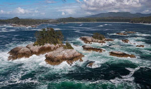 Vast marine conservation reserve, bigger than P.E.I., to protect B.C. central coast